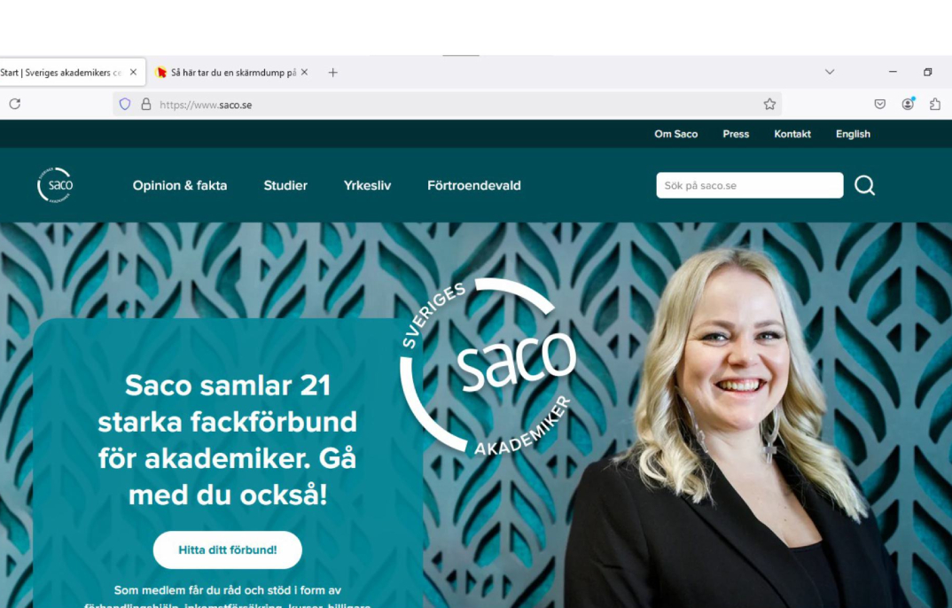 Saco 1a skarmdump(2)