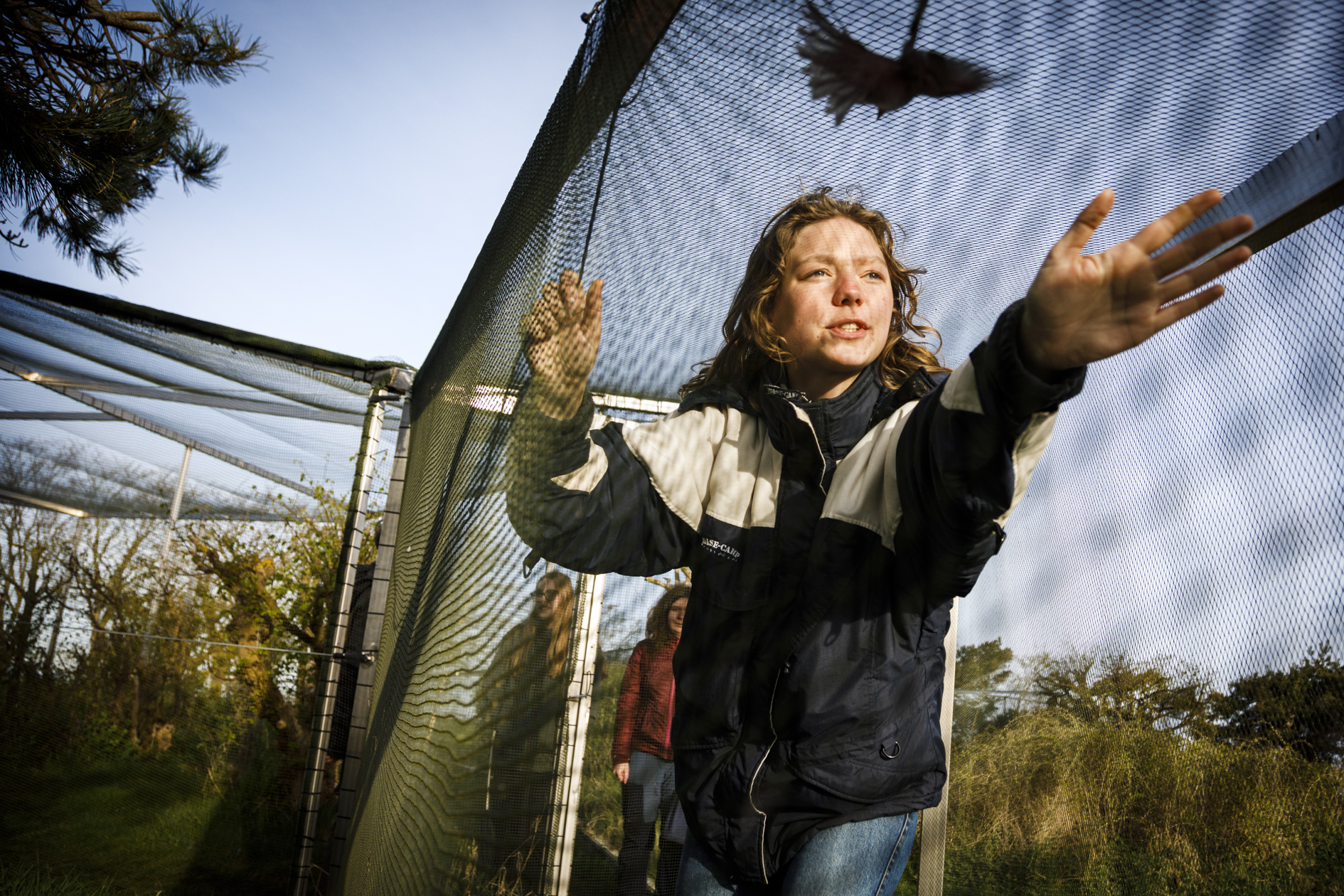 Elvira-1-J Henriksson