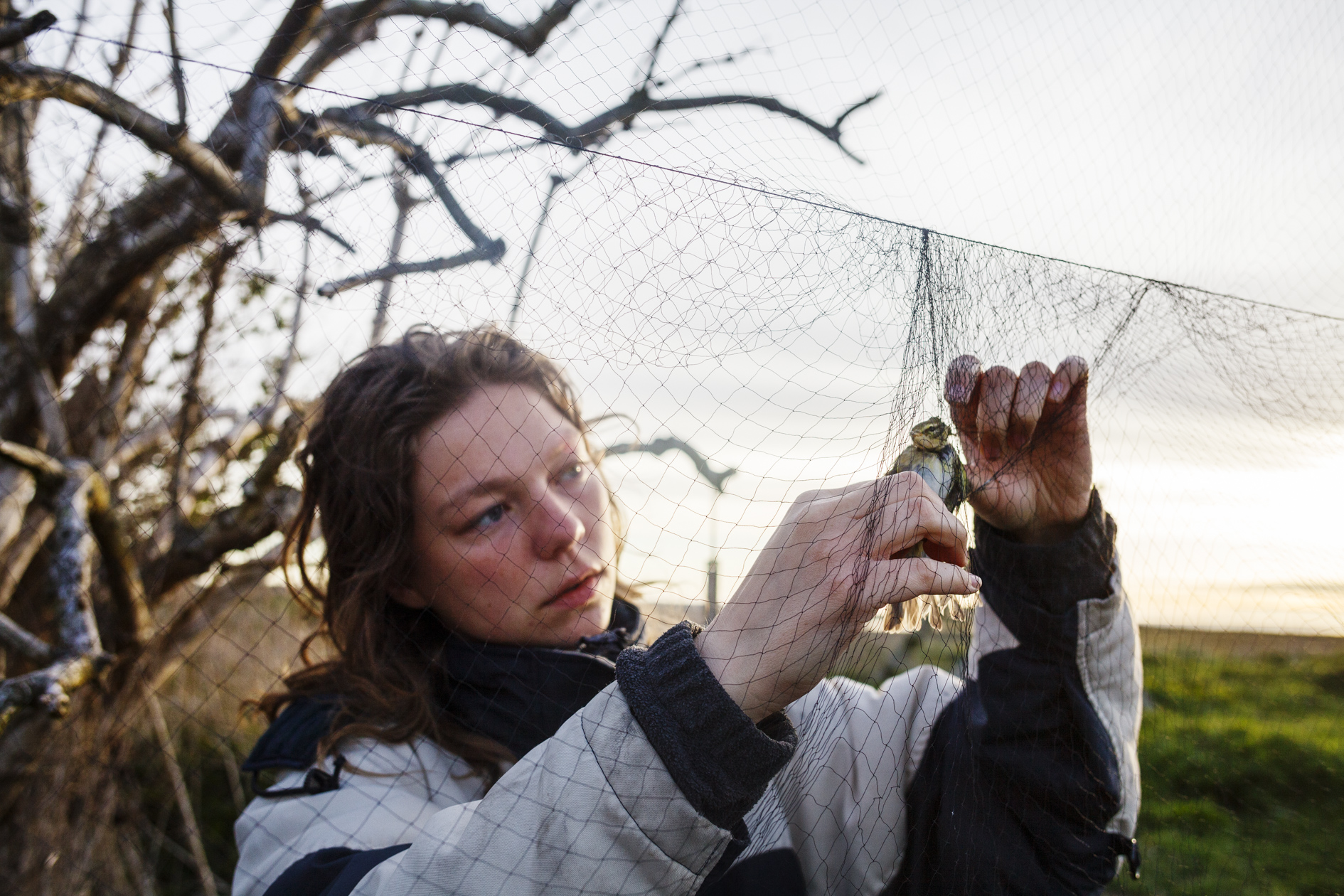 Elvira-2-J Henriksson